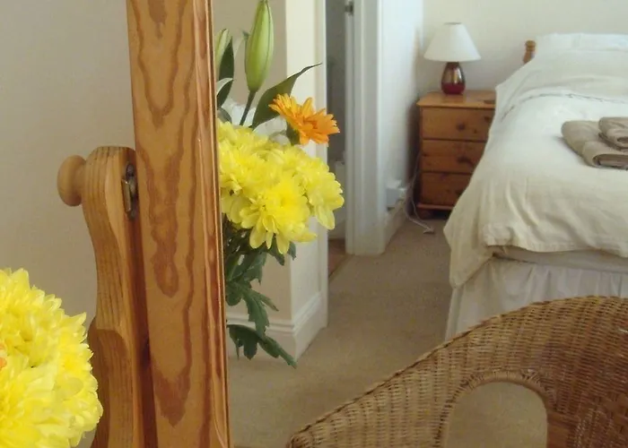 Harlequin Guest House With Parking