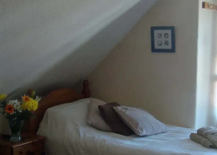 Harlequin Guest House With Parking